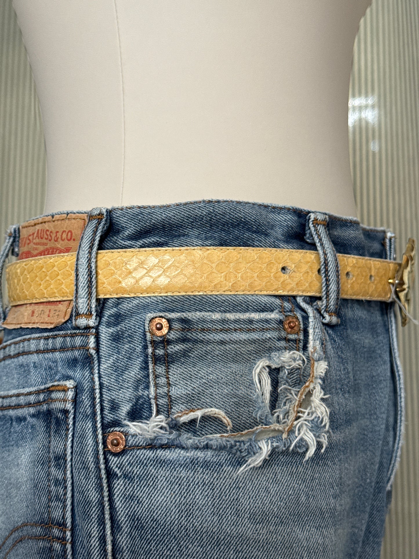 Tan snake skin with gold buckle
