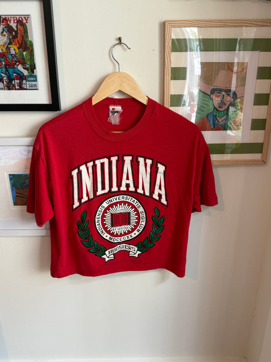 Vintage Cropped Indiana T-Shirt